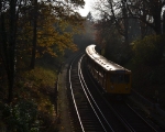 dsc_5319_resize